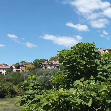Affittacamere Affittacamere Le Petit Palais Castiglione del Lago