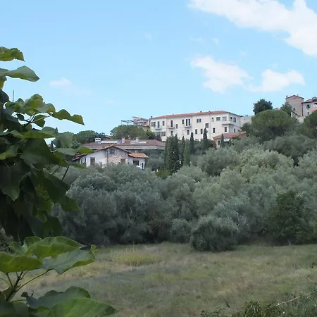 Affittacamere Affittacamere Le Petit Palais
