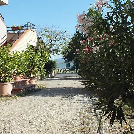 Pensionat Affittacamere Le Petit Palais Castiglione del Lago