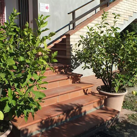 Affittacamere Le Petit Palais *