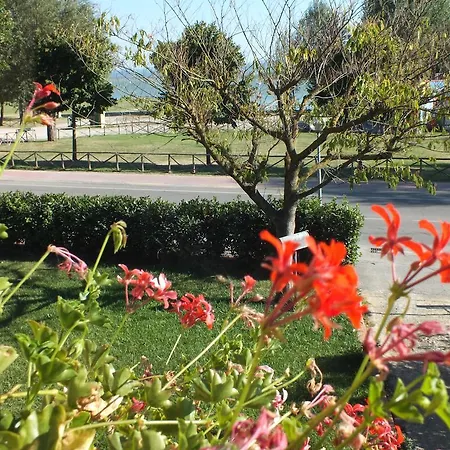 Affittacamere Le Petit Palais * Castiglione del Lago