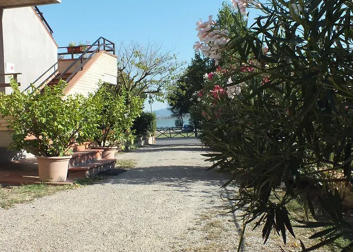 Affittacamere Affittacamere Le Petit Palais Castiglione del Lago